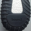 Yeezy Boost 350 V2 'MX Dark Salt'