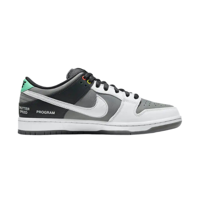 Dunk Low SB VX 1000 Camcorder