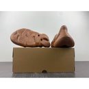 Yeezy Foam Runner 'Flax'