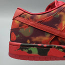 The Wizard of Oz x Dunk Low SB 'Poppy Field'