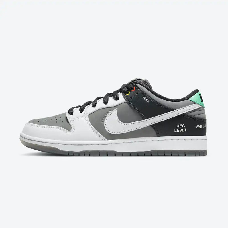 Dunk Low SB VX 1000 Camcorder